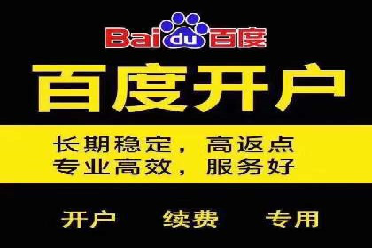 短视频平台的SEM推广实践与效果