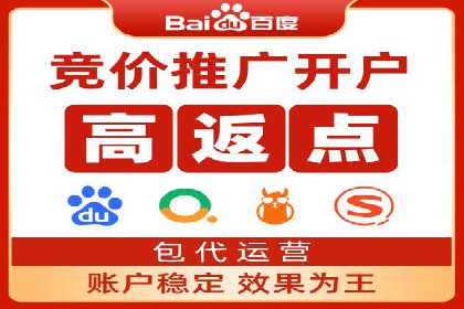 案例研究：SEM开户助力电商快速崛起